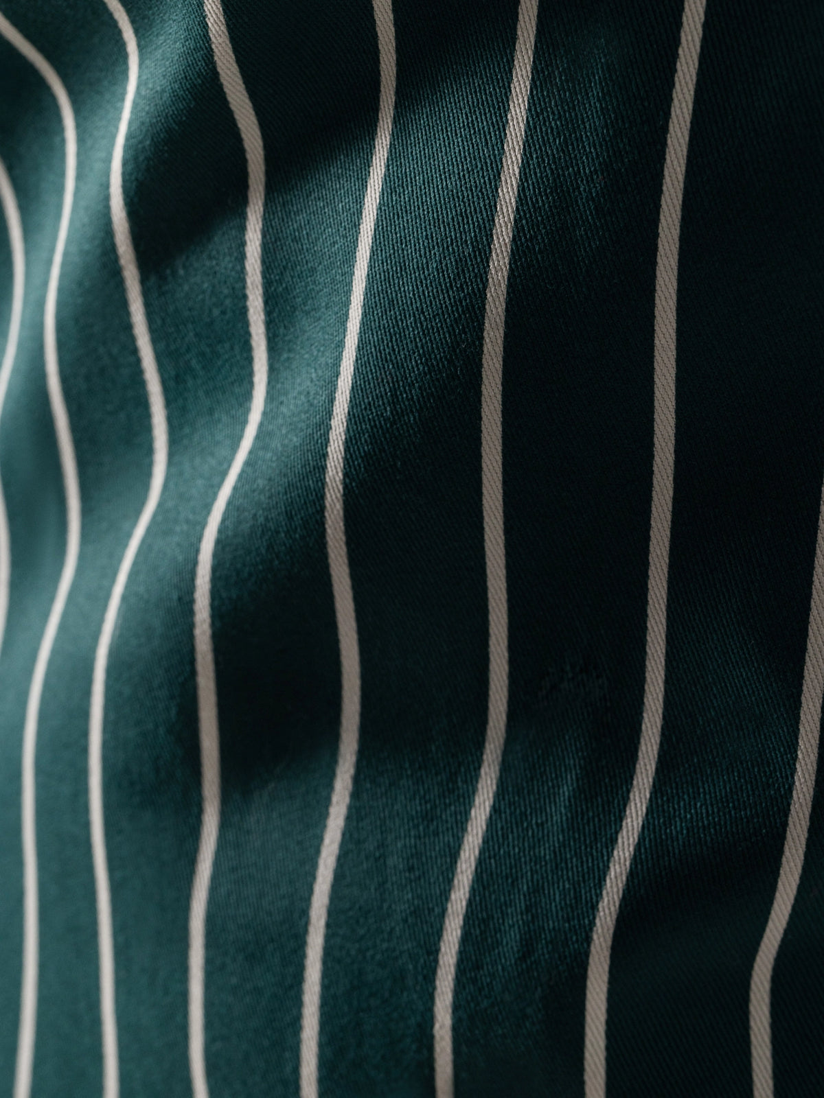 Camden Foreststripe