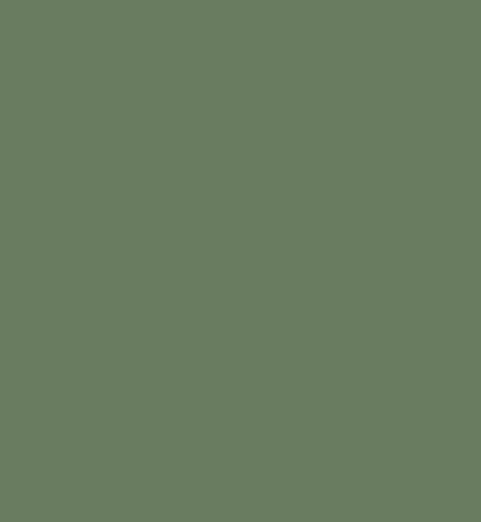 Image 23142132580481